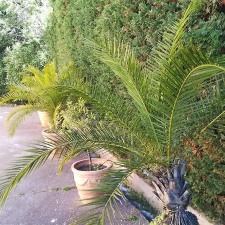Hébergement de vacances Comme Chez Vous Saint-Raphaël